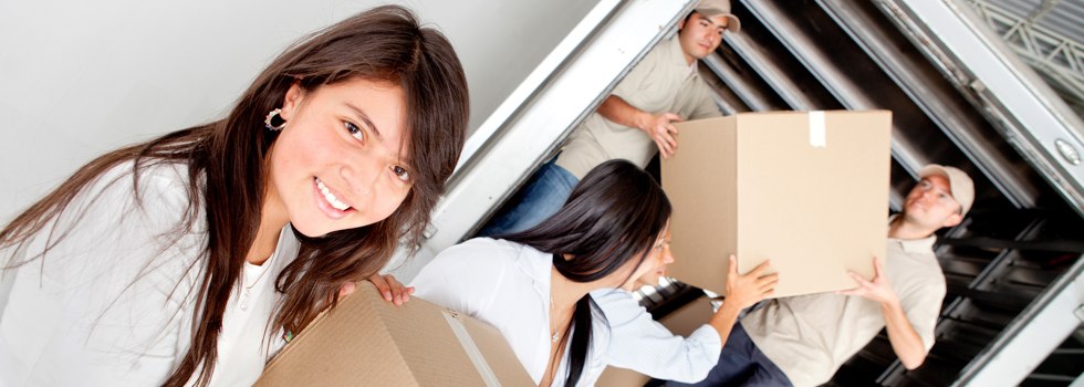 Professional Removalists Rippleside